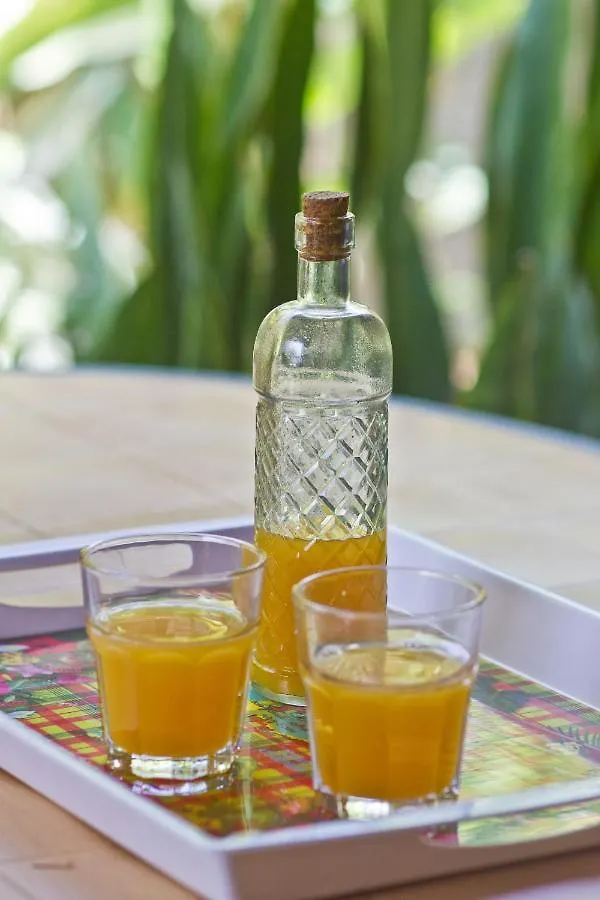 Hébergement de vacances Villa Gwada Dream à Sainte-Anne  Guadeloupe